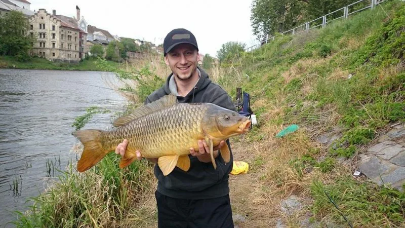 Ranní přemlouvání