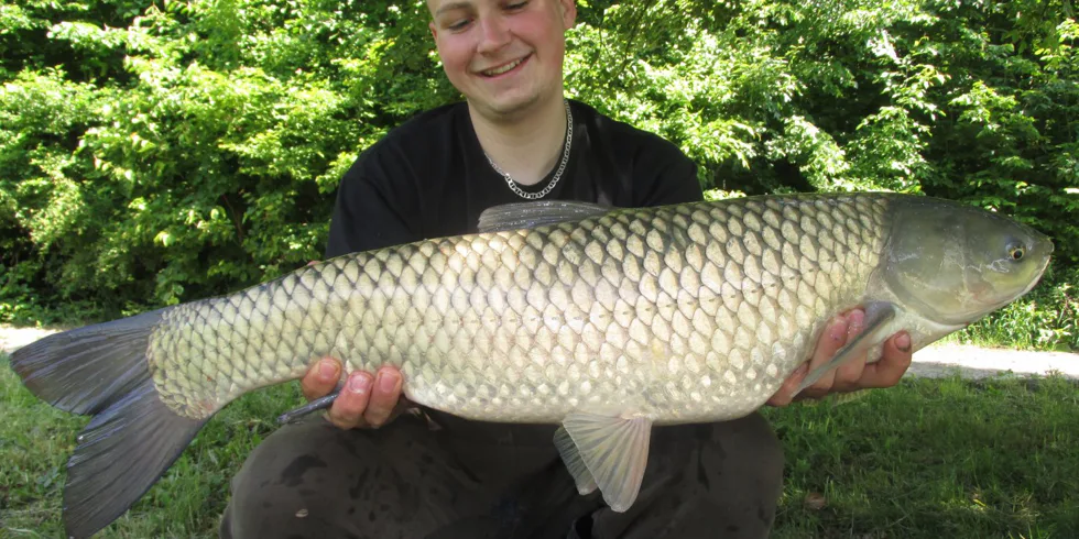 Jednodenní vycházka