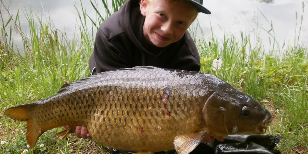 Anděl a jeho šupina