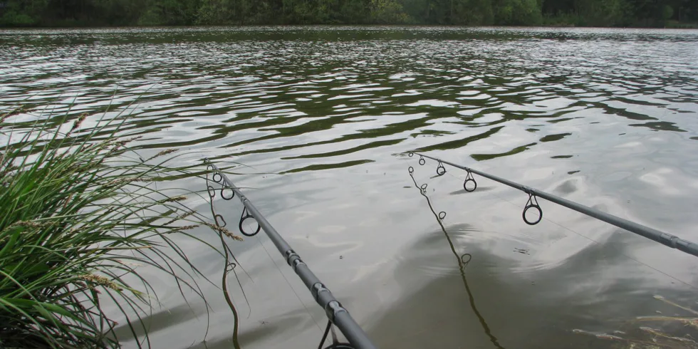 Odpočatí od školy