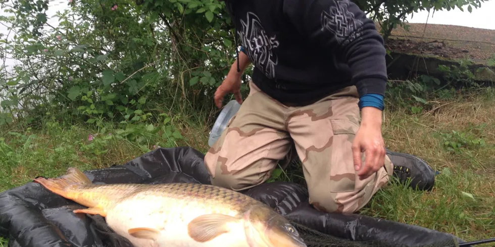 Svazovka v západních čechách