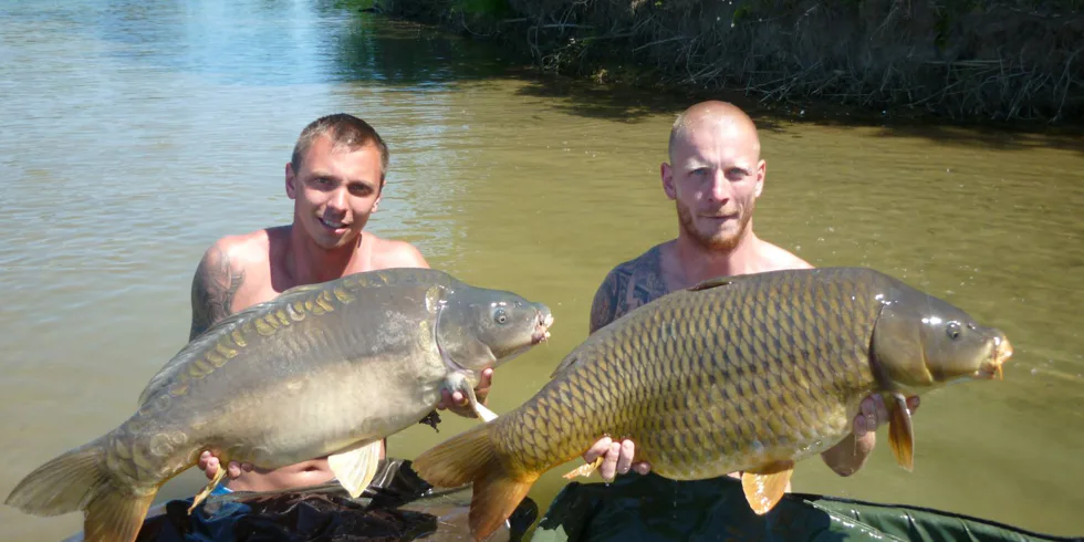 Kapří masakr na pískovně