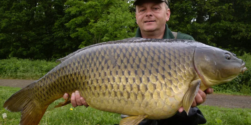 „Dvacka“ na Angry Plum