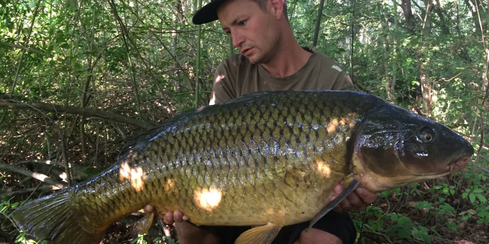 Kráťa na rybníčku