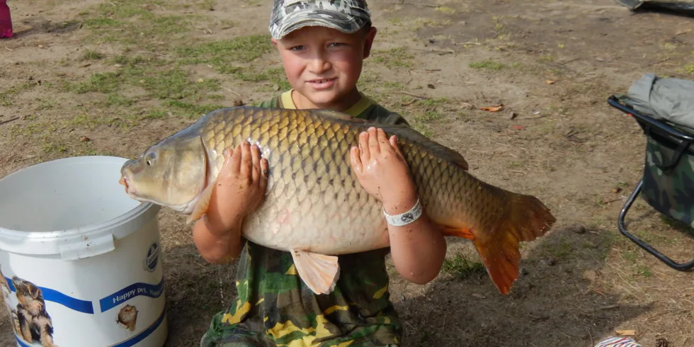 Peleta jako nástraha