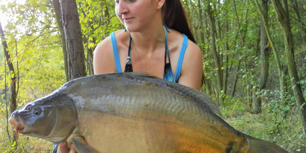 Angry plum opět v akci