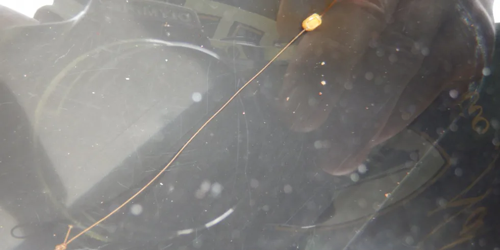 Vojta Bareš na Bledu!