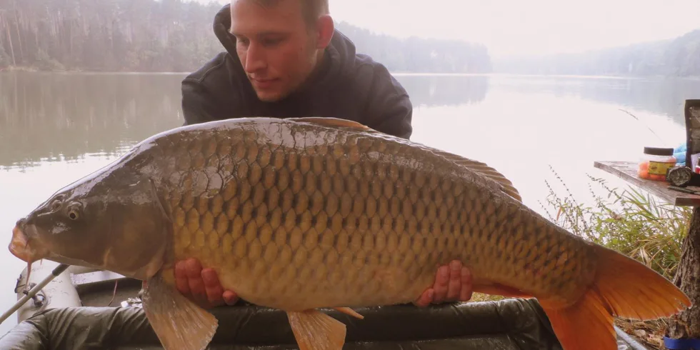 Další Robertův zářez