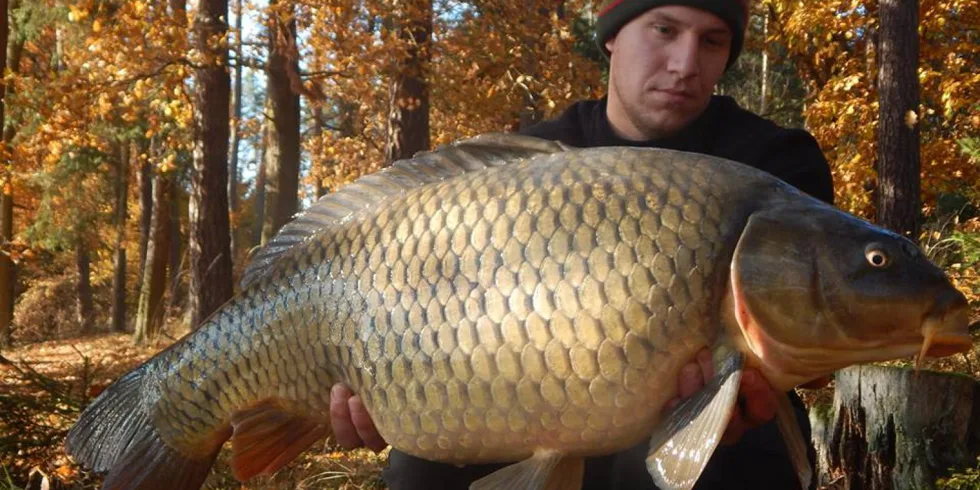 Povedená výpravička na přehradu