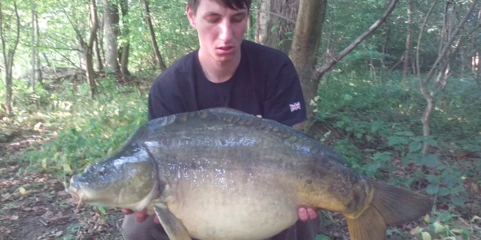 Krill a KrillBerry v akci