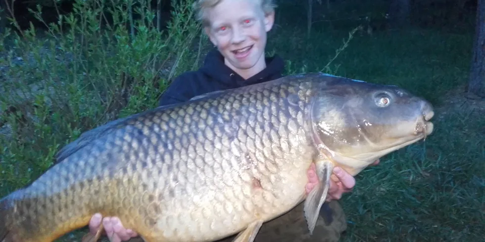 Osobák pro Anděla!