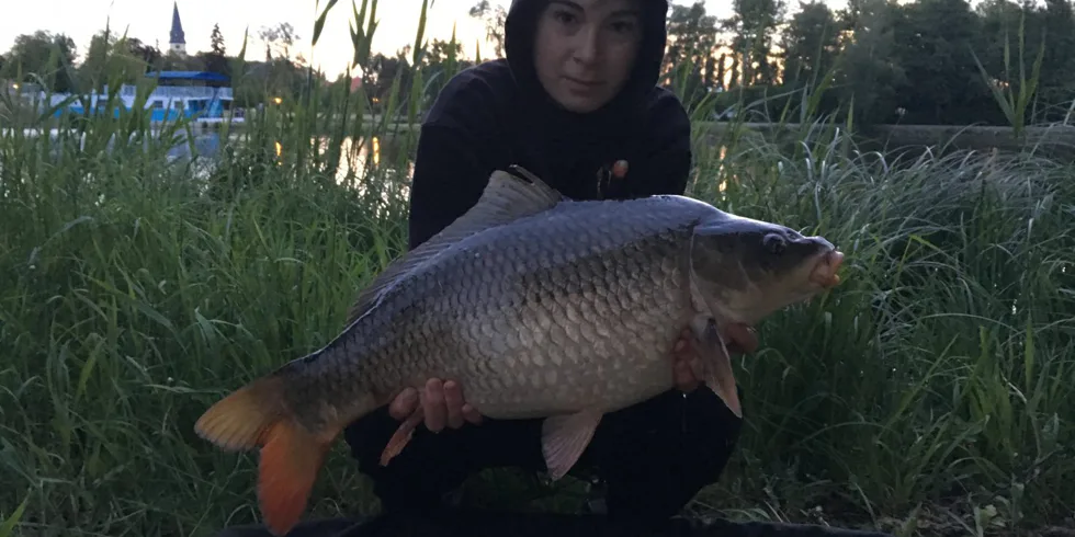 Srdce města Poděbrady!