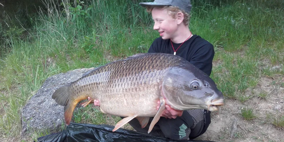 Anděl opět boduje!