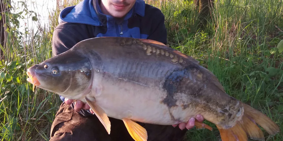 Každá lepší ryby dobrá