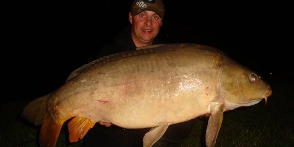 Večerní vycházky po práci