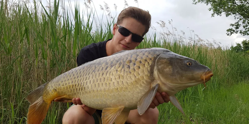 Ananasová dumbelka v akci