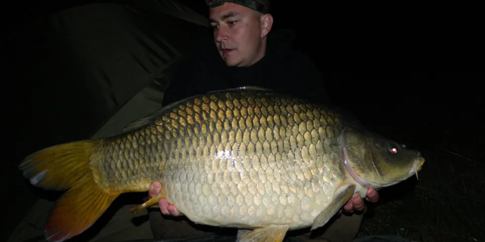 4h vycházka na řeku