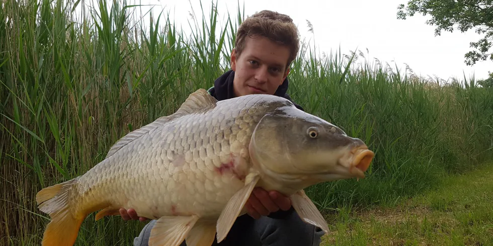 Další skvělý úspěch