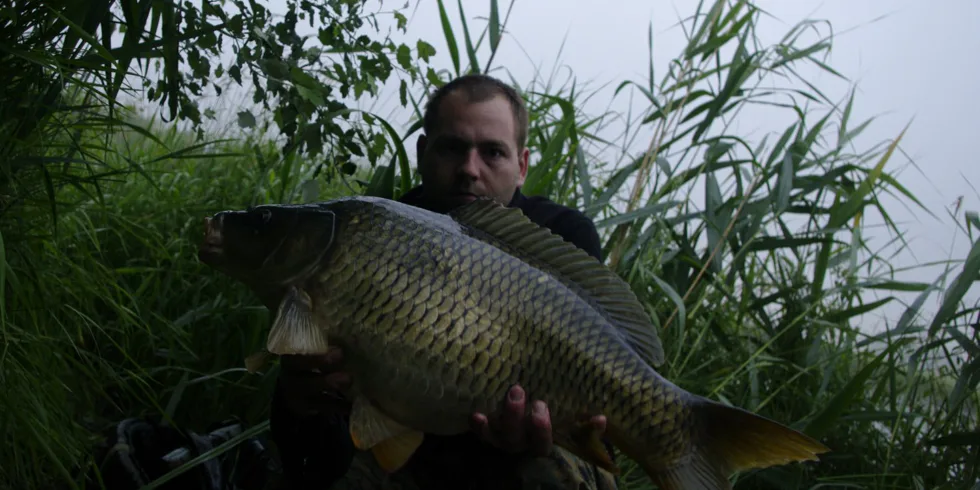 Opět bodovala Gigantica