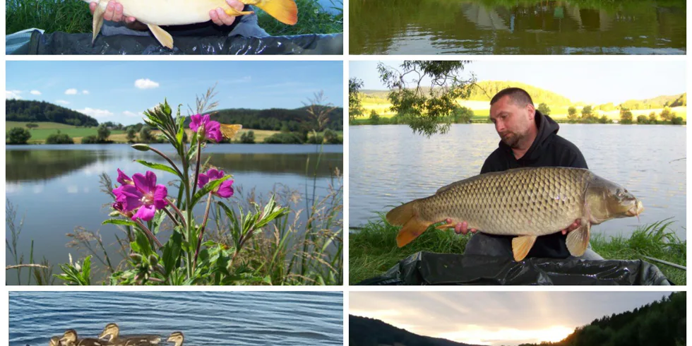 Soukromý revír v Jihočeském kraji