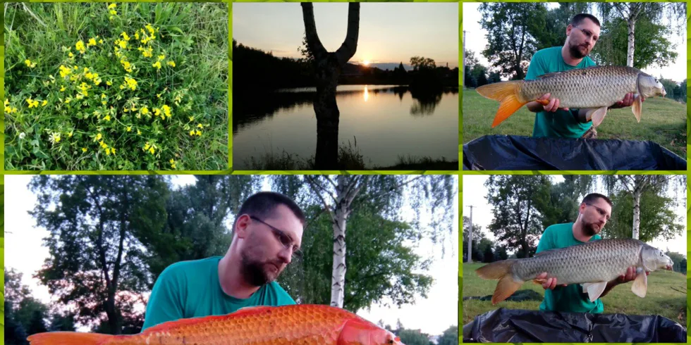 Kingcarp a jeho úlovky