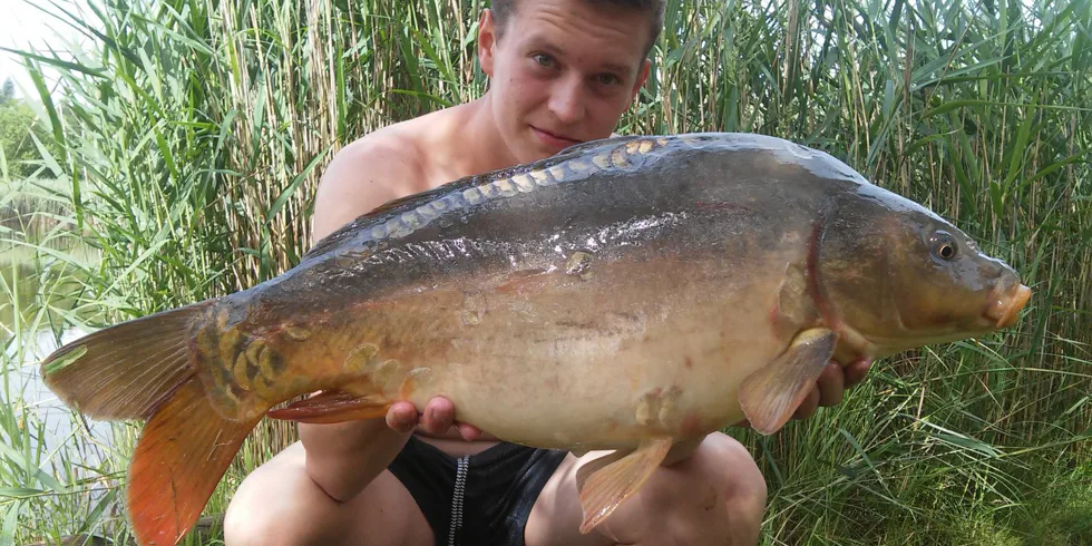 Krátké červencové vycházky