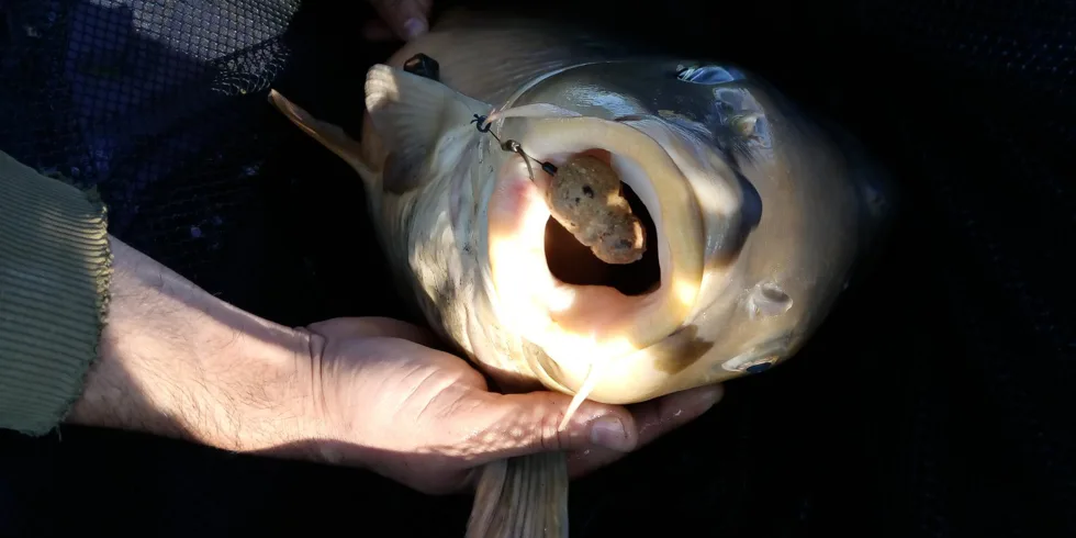 Ve Znamení Kapra - na Jezeru část.2