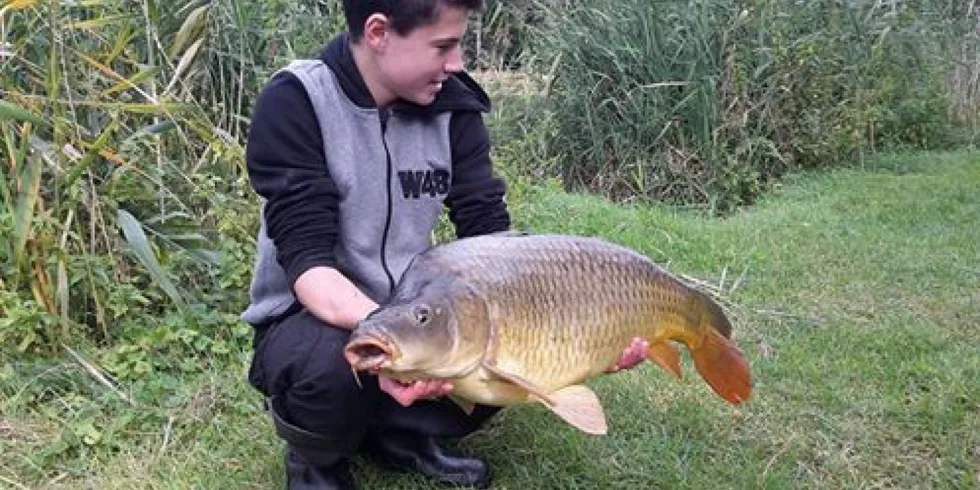 Zářijová pískovna