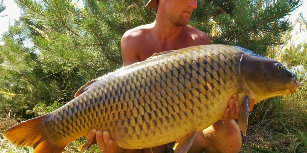 SNY SE PLNÍ!!! Díl první: