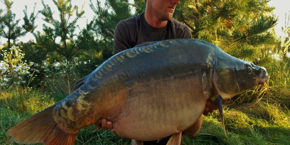 SNY SE PLNÍ!!! Díl druhý: