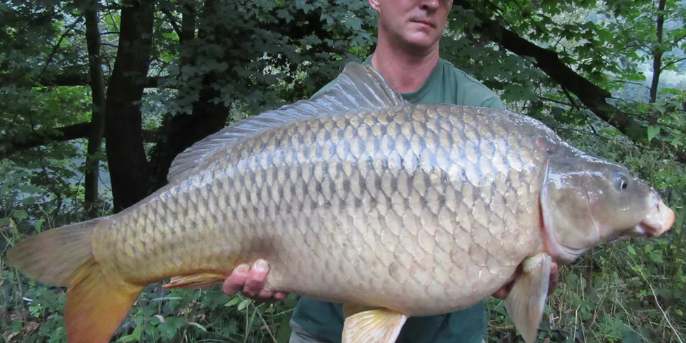 Extáze není jen pojem