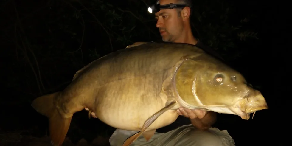 Trefa při stmívání - část. 7