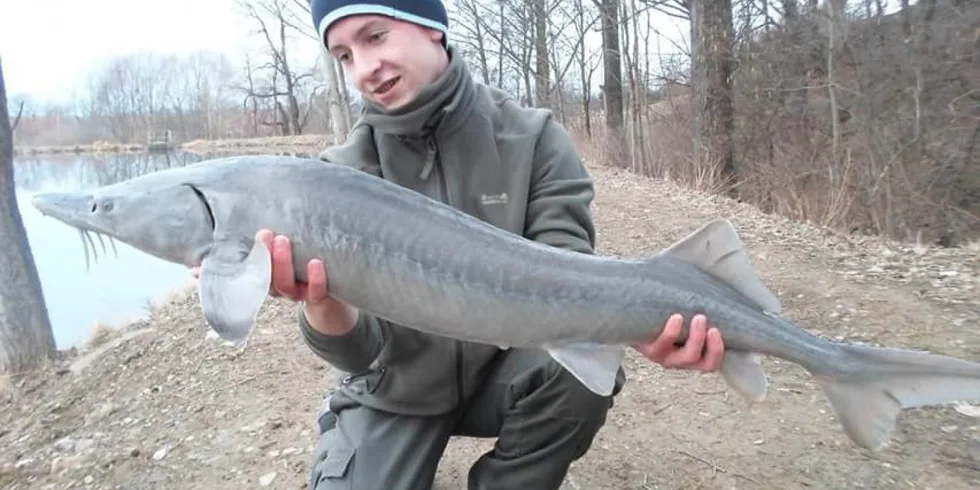 Chladná voda plní sny