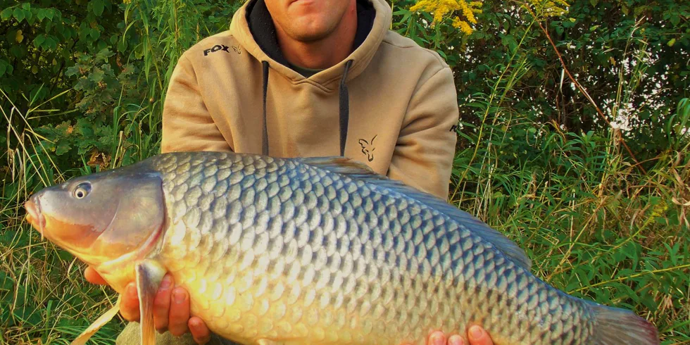 Náznaky podzimu na řece Labi!