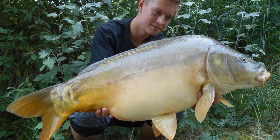 Víkendové vycházky