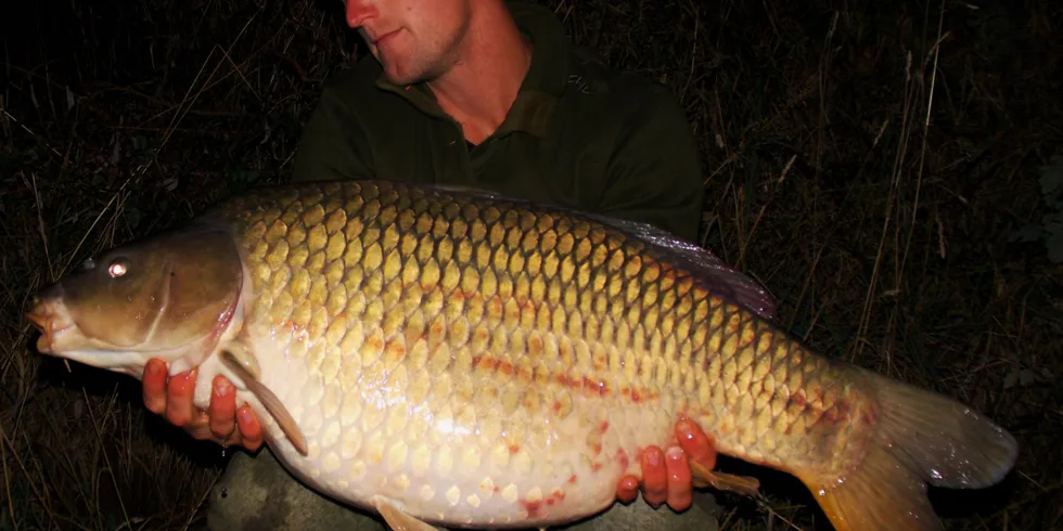 Nevzdávat se je kaprařina!