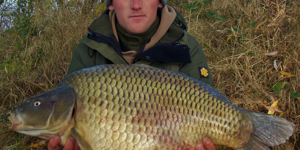 Parádní listopadový den!