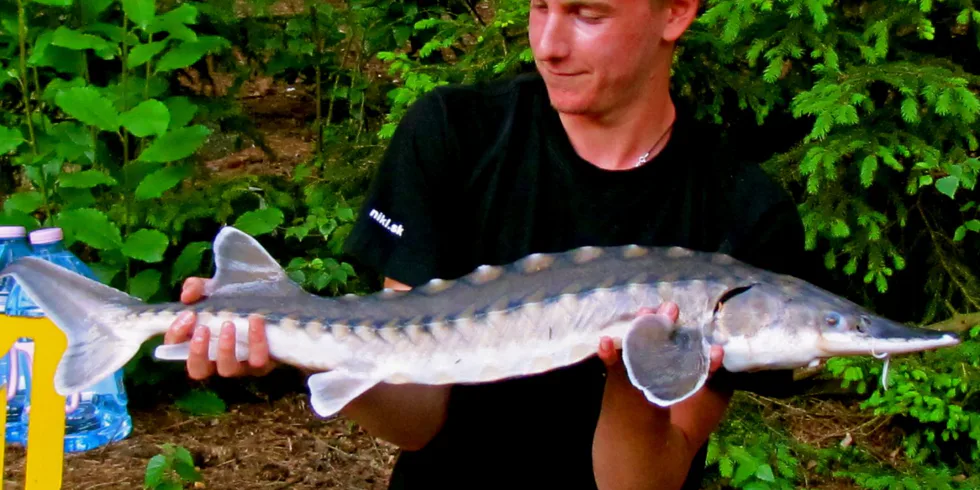 Shrnutí sezóny 2016