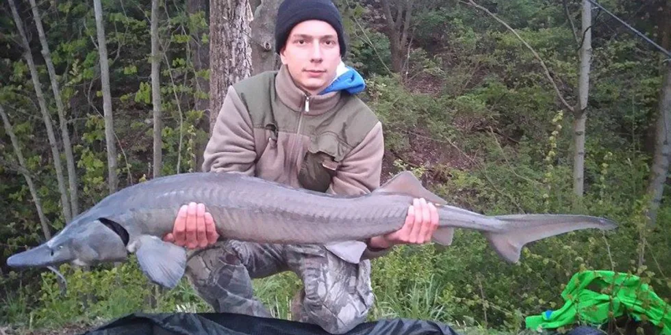 2 Krátké vycházky