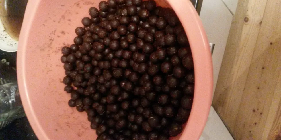 Dobrá rada nad zlato