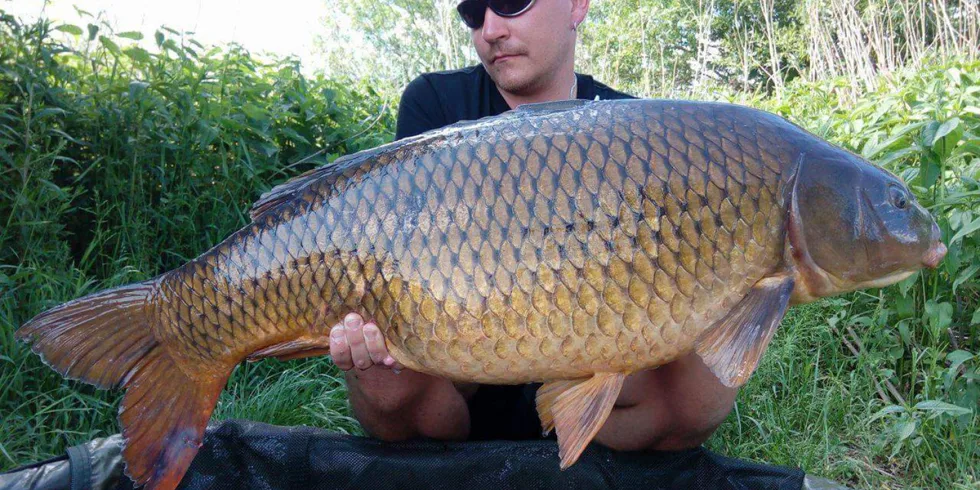 Petr a jeho fantastické úlovky