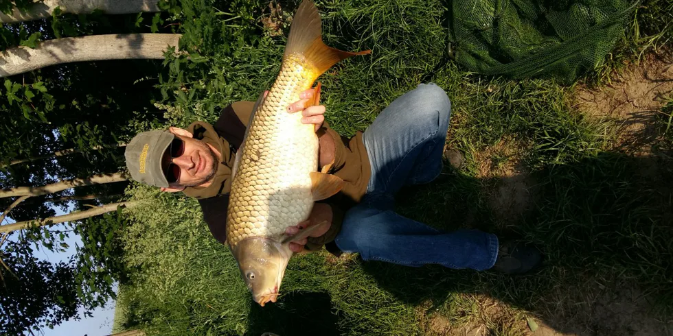 Po týdenní absenci