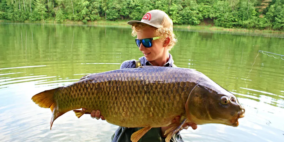 Jaro nad očekávání