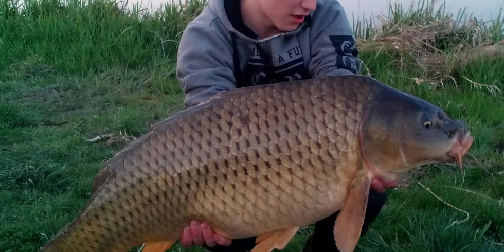 Menší revír v blízkosti domova