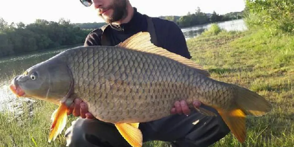 Svazovka v Mohelnici