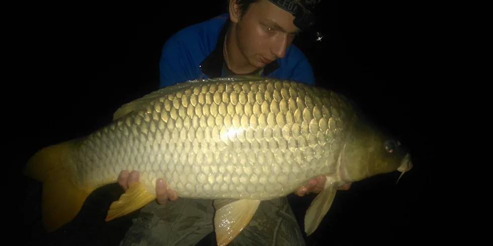 Dominik s Giganticou