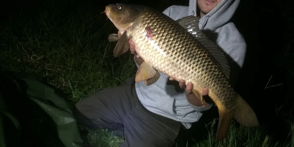 10 krátkých vycházek