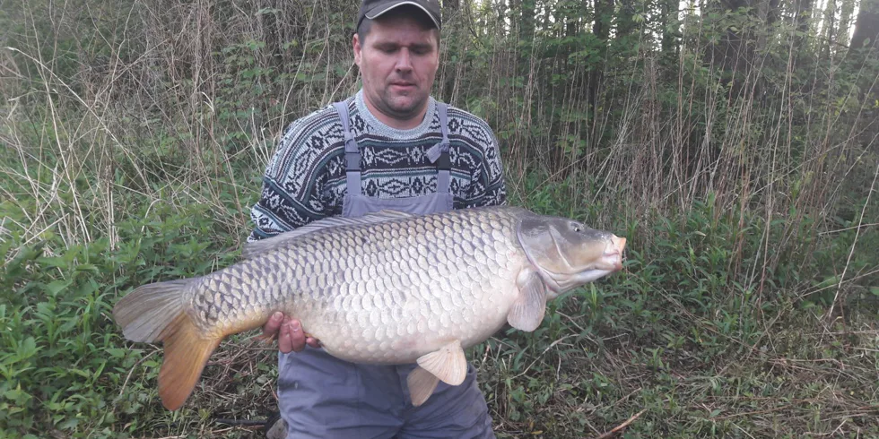 Rok 2017 v znamení osobákov