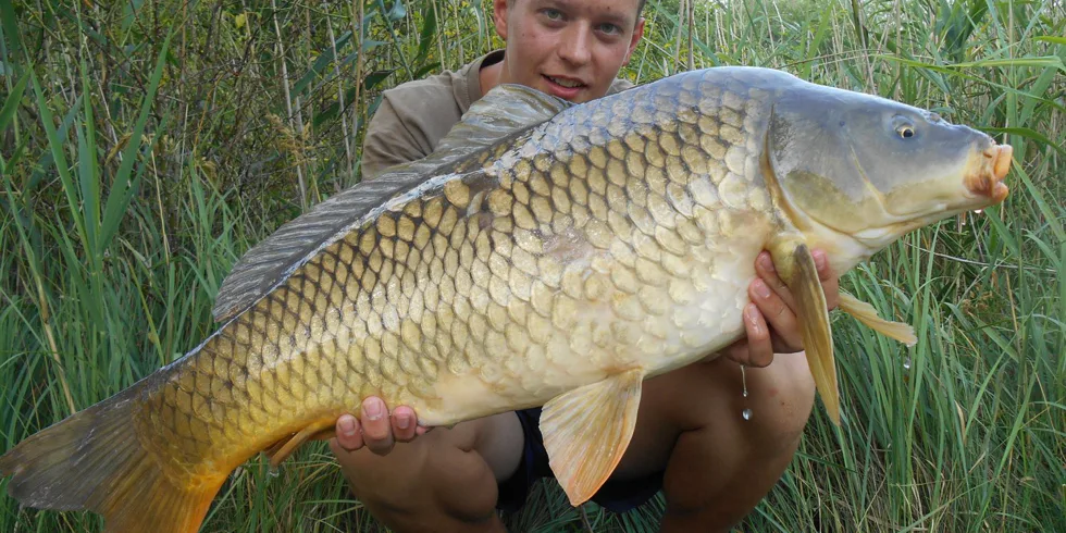 První dva týdny prázdnin