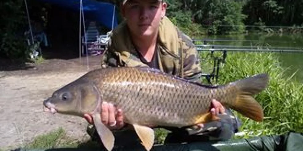 V jednoduchosti je krása